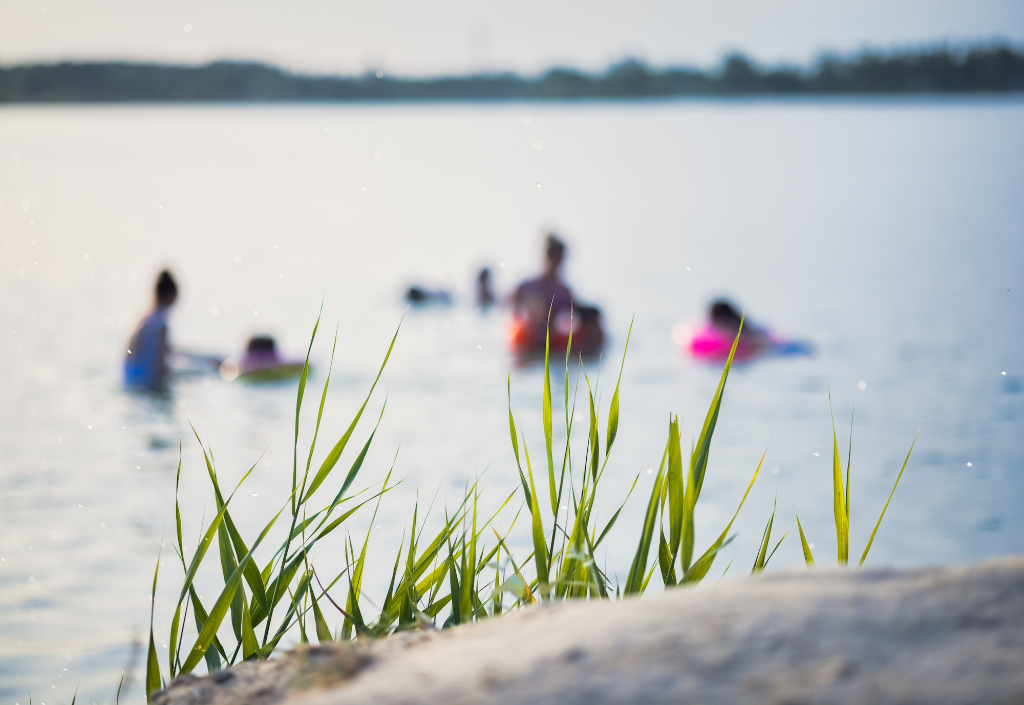When it comes to drowning accidents, understanding liability and legal remedies is essential. Before heading out to a lake like the family in this image, ensure you take all safety precautions.